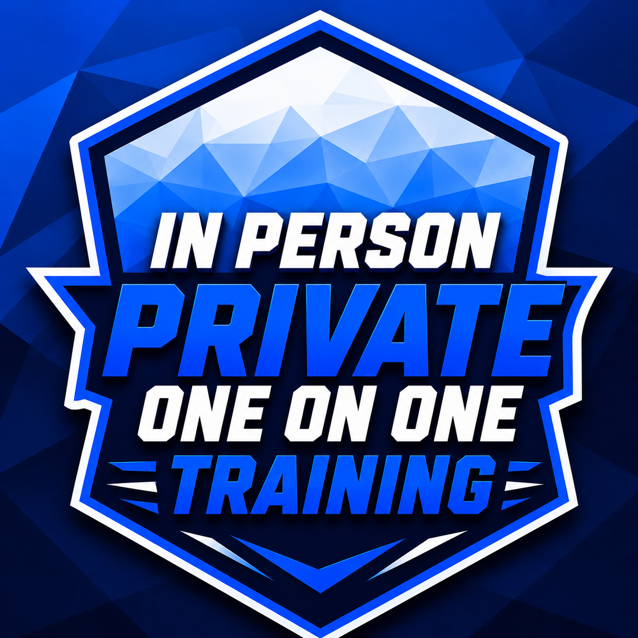 In Person Private 1-1 Training (Contact Us Directly For The Details)