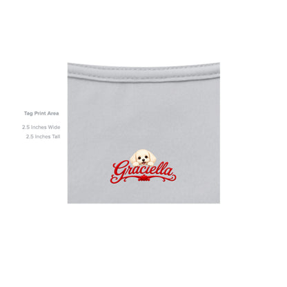 Silver - PC54 - INSIDE_TAG_LINE